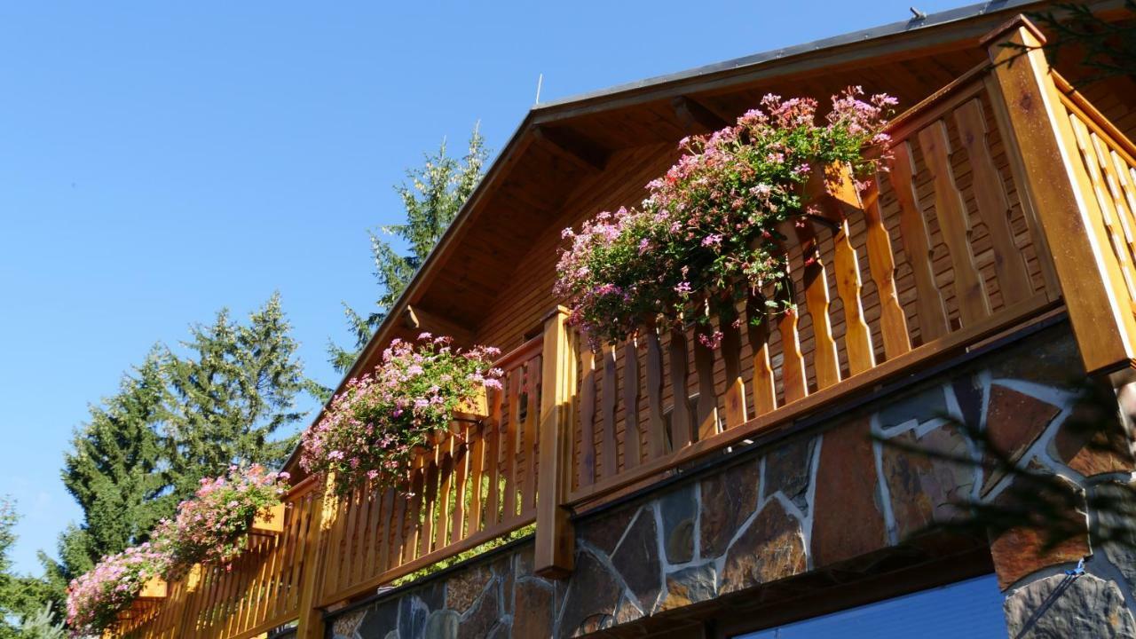 Pension Aspen Harrachov Exterior photo
